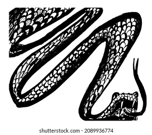dibujo imagen de gran serpiente en lanzamiento, boceto, ilustración vectorial digital dibujada a mano