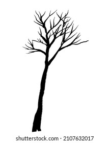 imagen de dibujo árbol alto delgado y delgado sin hojas aisladas en fondo blanco, boceto, ilustración vectorial digital dibujada a mano