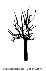 drawing picture of dry tree isolate on white background, sketch, hand drawn digital vector illustration