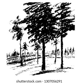 drawing picture, isolated landscape, black and white, graphic image of trees in the forest, landscape, hand-drawn with coal vector illustration