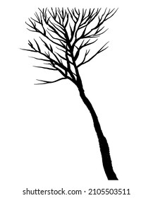 drawing picture, lonely dry tree, isolate on white background, sketch, hand drawn digital vector illustration