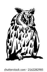drawing picture of long-eared spotted owl, icon isolated on white background, sketch, hand drawn digital vector illustration