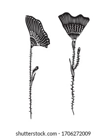 Zeichensatz von grafischen Einzelelementen, stylische, mit schwarzen Mustern gemusterte Pflaumen, handgezeichnete Vektorillustration