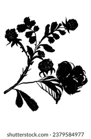 drawing picture silhouette of a rosehip sprig, hand drawn digital vector illustration, sketch