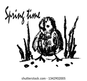 drawing picture of a small newborn chicken among fresh grass looking for grains, a sketch, hand-drawn charcoal, vector graphic illustration