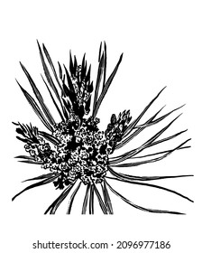 dibujo de la imagen del icono de abeto cerrar, boceto, ilustración vectorial digital dibujada a mano