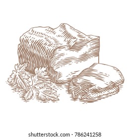 Drawing of piece of brisket with slice and parsley