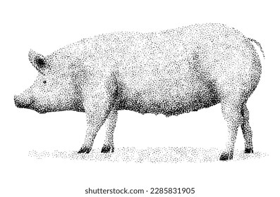
Drawing of a pig on a white background. Pointillism