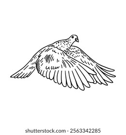 A drawing of a pigeon flying in the air