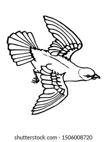 Drawing of a pigeon on a white background for coloring with paints and pencils