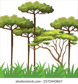 Drawing pine trees Royalty Free Vector Image - Vector Stock