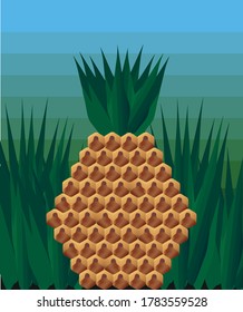 drawing of a pineapple in a peculiar style