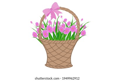 Drawing pink flowers isolate on white background. Copy space for your text.