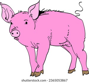 Drawing of a pink piggy on a white background. Pink piggy is circled with a feather on a white background. Vector graphics. Illustration EPS 10