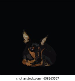 drawing pinscher mini doberman with black background