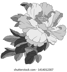 drawing of a pion in monochrome colors