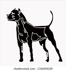 drawing pit bull terrier dog vector illustration image of a powerful powerful dog