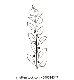 drawing of plants on a white background