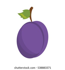 drawing plum organic fruit