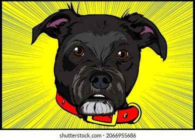 Drawing portrait of a dog face. Pen and ink sketch Vector artwork. Terrier front view, Pop Art Dog Face Head. Colorful Illustration in Comic Book retro vintage style