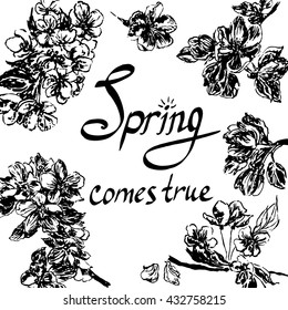 drawing postcard spring frame beautiful flowers of apple and the text "Spring comes true" hand-drawn sketch graphic ink isolated vector illustration