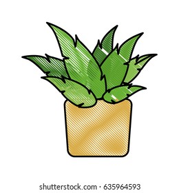 drawing pot plant decoration botanic natural