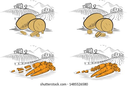 
drawing potato and marking for the package. drawn.