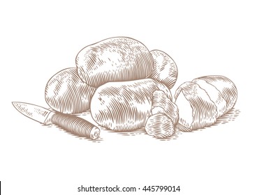 Drawing of potatoes handful with peels and kitchen knife