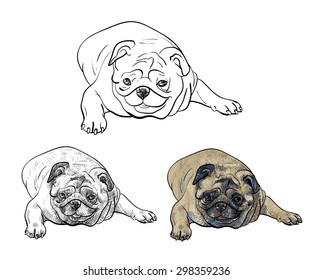 Drawing pug dog lying on white background