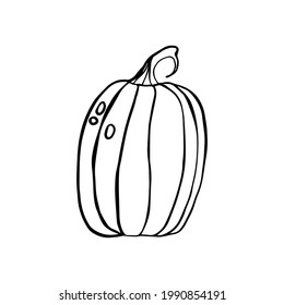 Dibujo de calabaza - ilustración vectorial en blanco y negro. Ilustración vectorial de los alimentos.