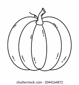 Drawing  pumpkin in doodle style. Coloring book with vegetables for children. Linear vector illustration.