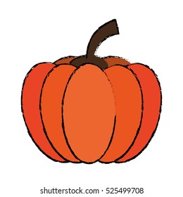 drawing pumpkin harvest bittersweet vegetable icon