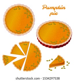 Drawing pumpkin pie  cheesecake and pumpkin  A whole cake   slices cheesecake  Vector image  isolated 