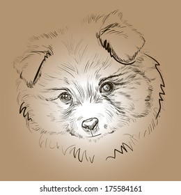 drawing puppy