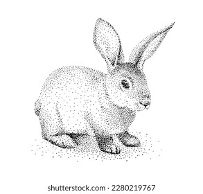 Un dibujo de un conejo sobre un fondo blanco