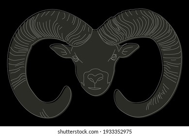 Drawing of a ram. Ram head full face. Simple linear drawing of a ram. Wild animal