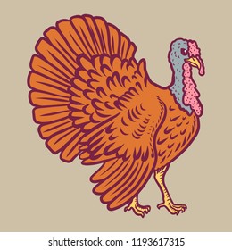 Drawing realistic turkey icon. Hand drawn illustration of drawing realistic turkey vector icon for web design