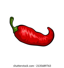 drawing of red peppers on a white background It's a vector image.
