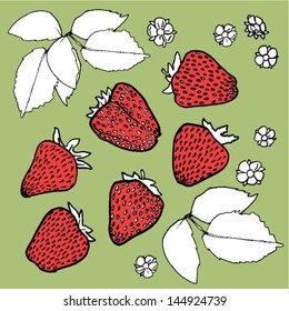 drawing of red ripe strawberry with white leaves and flowers