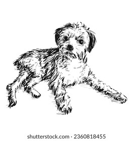 Drawing of Relaxed puppy dog laying