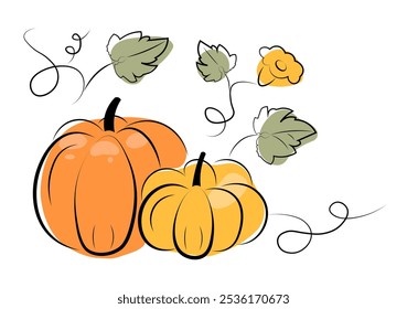 Drawing of ripe, orange pumpkins on a white background