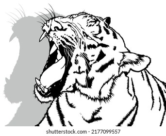 Drawing of Roaring Tiger - Black Illustration Isolated on White Background, Vector