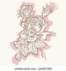 Drawing rose flower decorative plant
