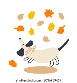 Drawing of a running dachshund with autumn leaves. Perfect for T-shirt, textile and prints. Doodle style vector illustration for decor and design. 