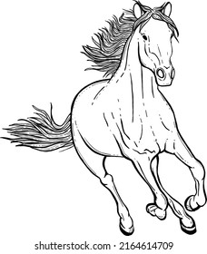 drawing of a running horse with a developing 