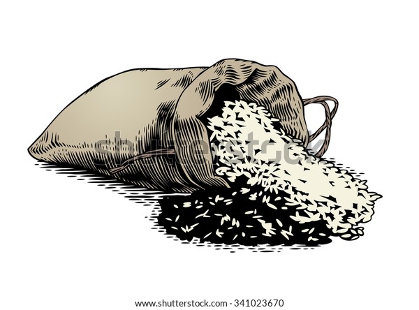 Drawing Sack Rice On White Stock Vector (Royalty Free) 341023670