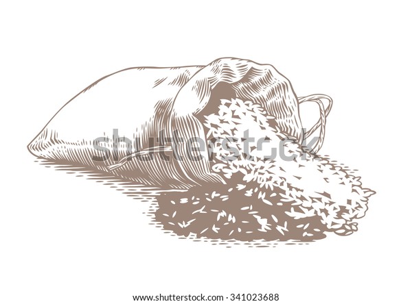 Drawing Sack Rice On White Stock Vector (Royalty Free) 341023688