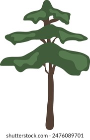 Drawing scotch fir isolated on white background. Vector Illustration.