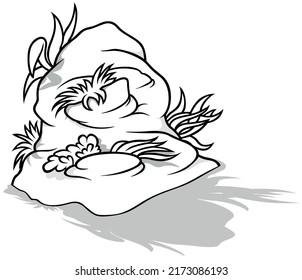 Drawing of a Sea Rock with Aquatic Plants - Cartoon Illustration Isolated on White Background, Vector