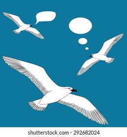 Drawing seagulls on a blank background. Vector illustration